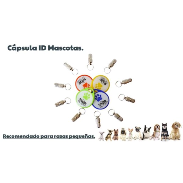 Cápsula ID Mascotas Recomendado Razas Pequeñas