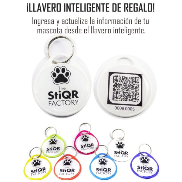 ID Mascotas Llavero Inteligente de Regalo