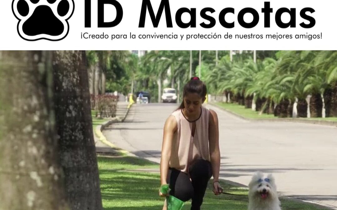 The StiQR Factory ID Mascotas Presenta: ¿Qué debemos hacer con las heces de nuestras mascotas?