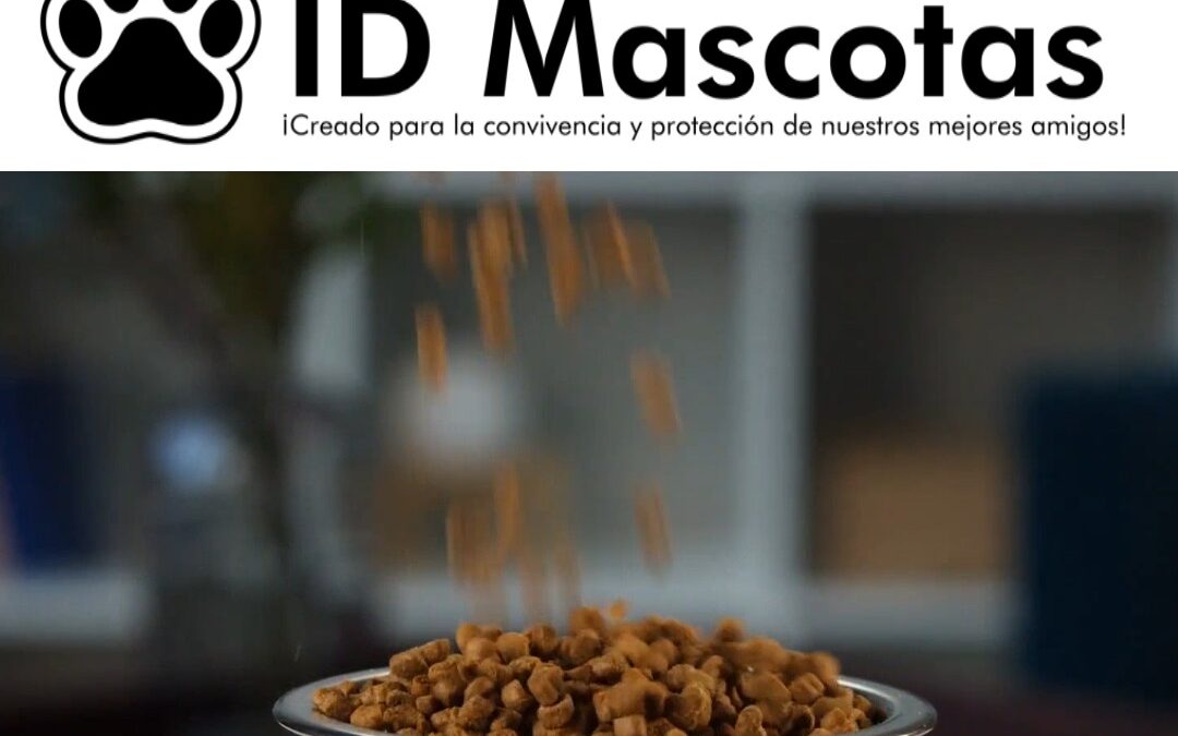 The StiQR Factory ID Mascotas Presenta: Consejos para una alimentación balanceada de nuestra mascota
